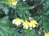 /album/descubre-como-funciona-nuestro-cerebro/dsc00025-jpg/