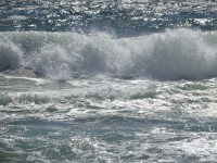 /album/descubre-como-funciona-nuestro-cerebro/dsc00034-jpg/