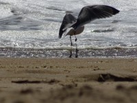 /album/descubre-como-funciona-nuestro-cerebro/dsc00042-jpg/