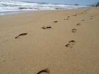 /album/descubre-como-funciona-nuestro-cerebro/dsc00063-jpg/