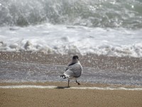 /album/descubre-como-funciona-nuestro-cerebro/dsc00056-jpg/